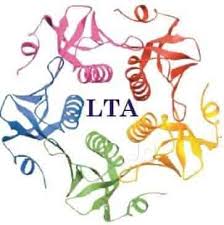 Lets Talk Academy logo